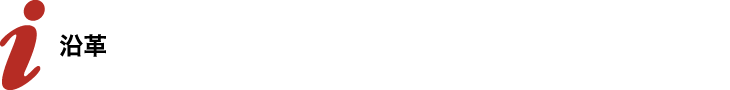 沿革